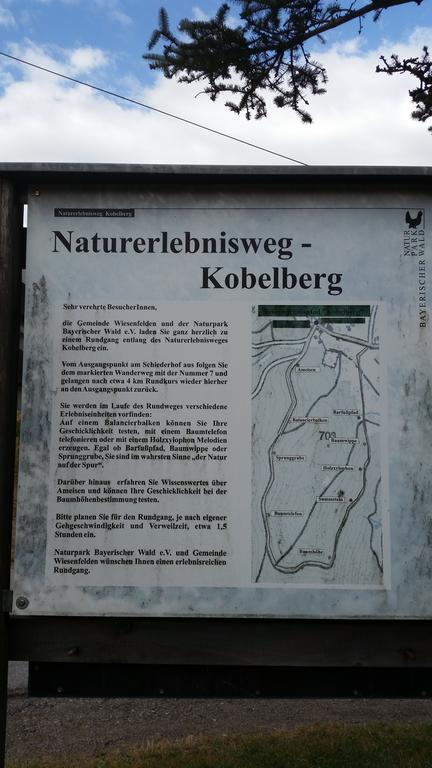 Waldgasthof - Hotel Schiederhof Wiesenfelden المظهر الخارجي الصورة