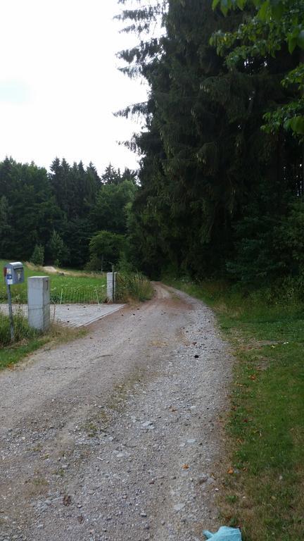 Waldgasthof - Hotel Schiederhof Wiesenfelden المظهر الخارجي الصورة